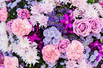 different types of flowers