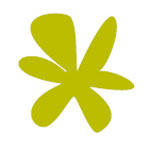 sponsor spalding flower parade